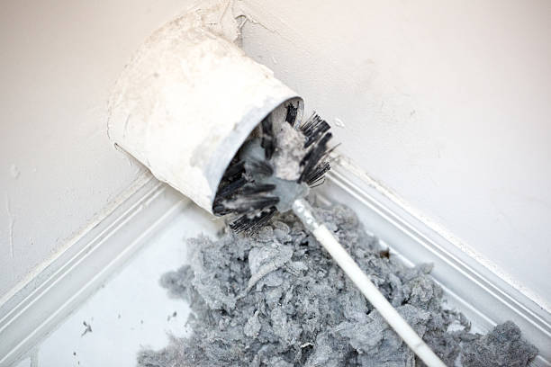 Reliable Progreso, TX Airduct Cleaning Solutions